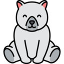 animals,mammal,wild life,animal kingdom,zoo,animal,bear,polar bear
